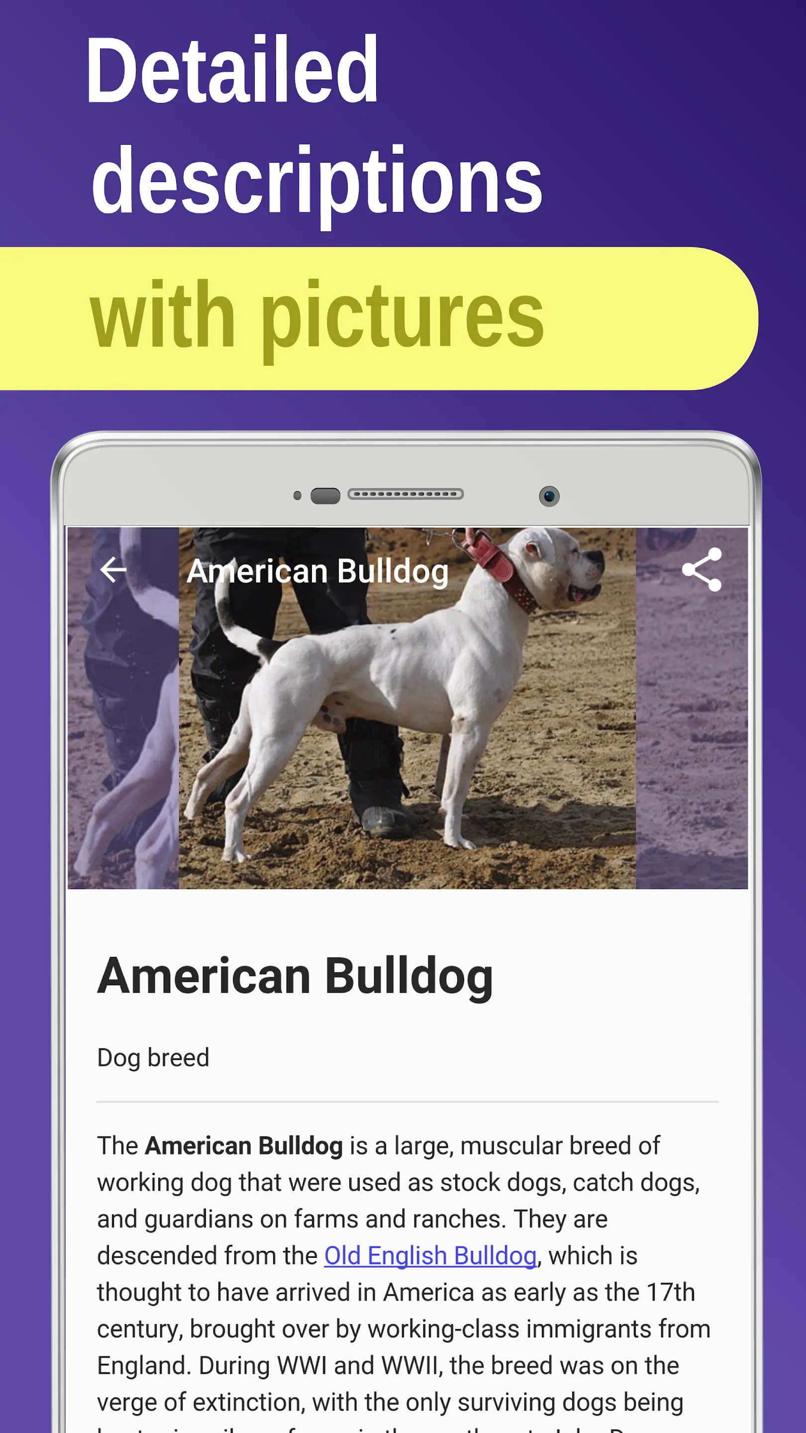 Dog breeds | Indus Appstore | Screenshot