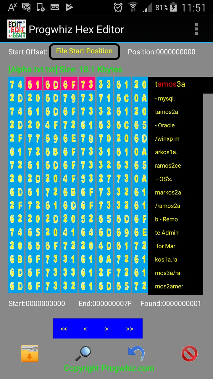 Progwhiz Hex Editor | Indus Appstore | Screenshot