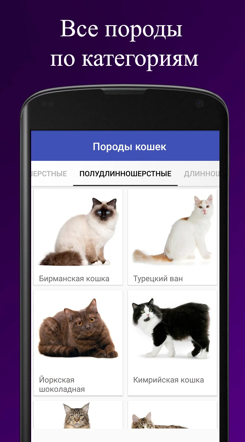 Породы кошек. Справочник пород | Indus Appstore | Screenshot