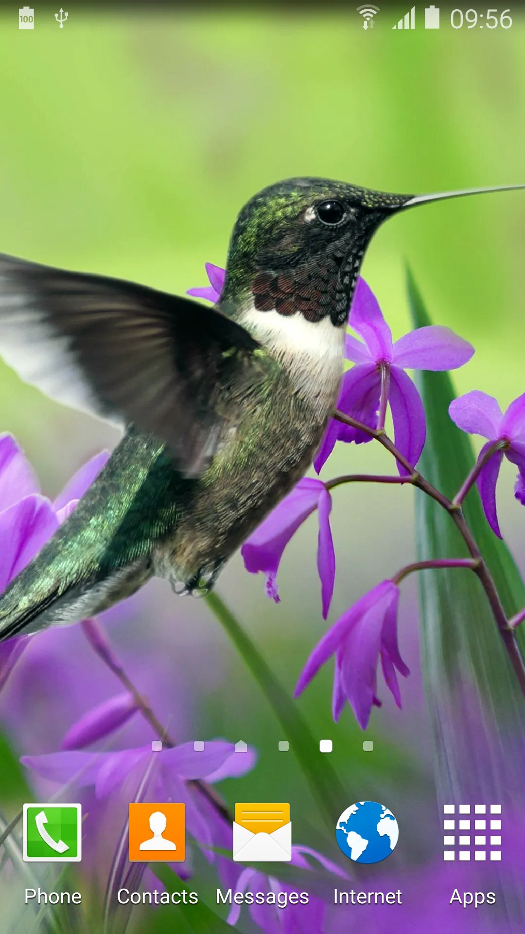 Hummingbirds Live Wallpaper | Indus Appstore | Screenshot