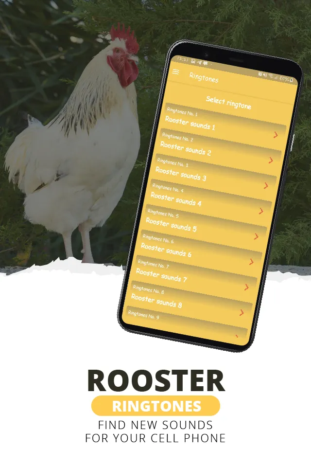 Rooster ringtones | Indus Appstore | Screenshot