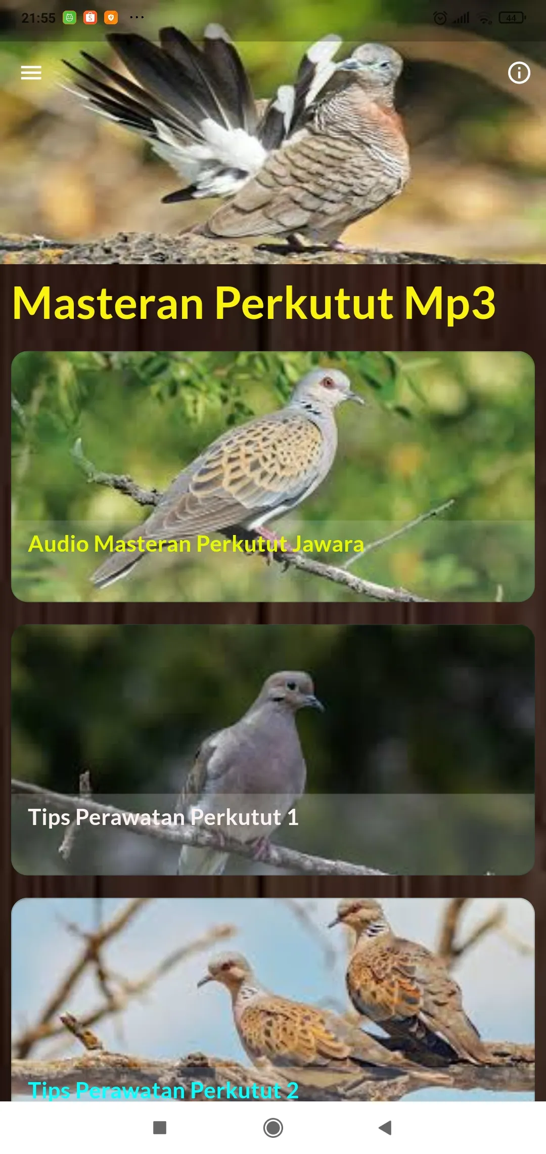 Perkutut Suara Merdu | Indus Appstore | Screenshot