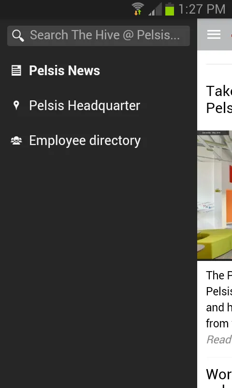 The Pelsis Hub | Indus Appstore | Screenshot