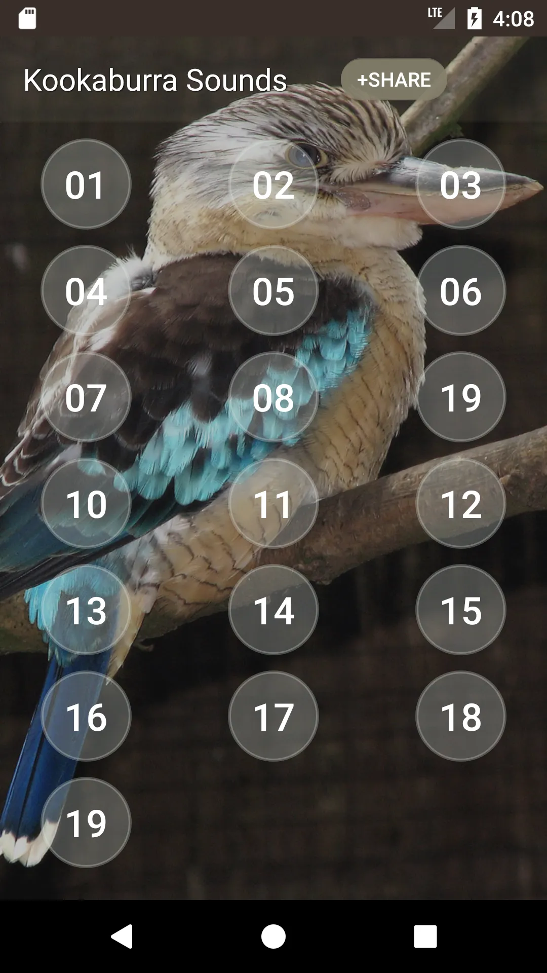 Kookaburra Sounds | Indus Appstore | Screenshot