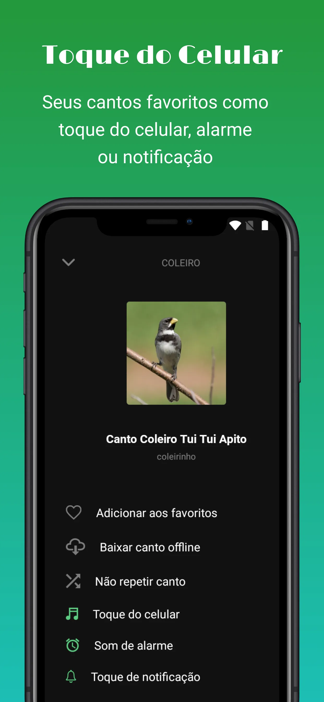 Sounds of birds | Indus Appstore | Screenshot