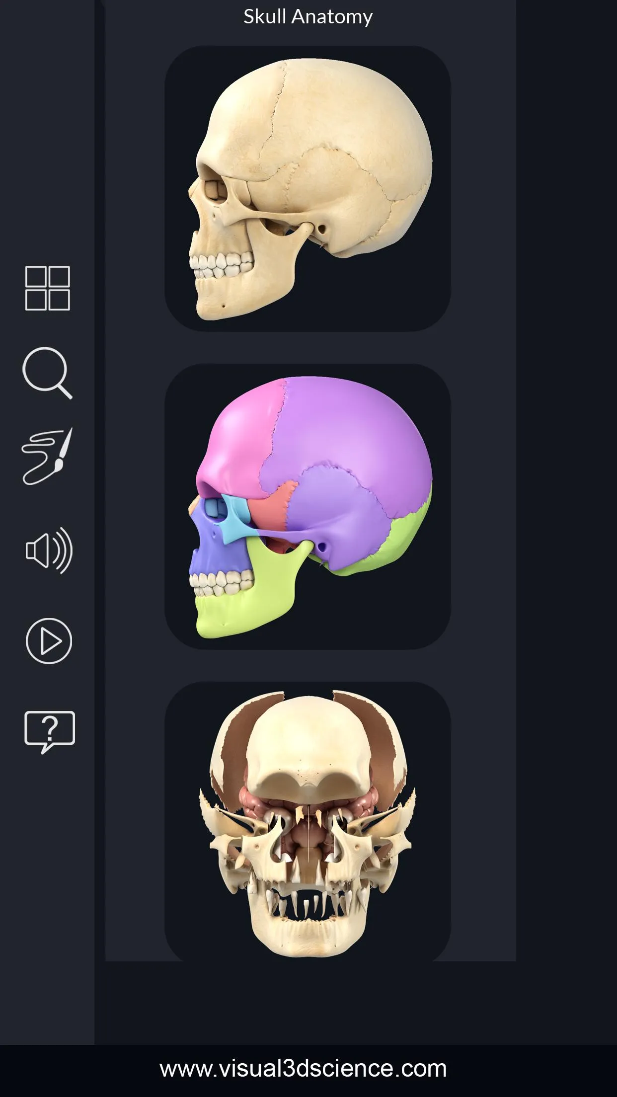 Skull Anatomy Pro. | Indus Appstore | Screenshot