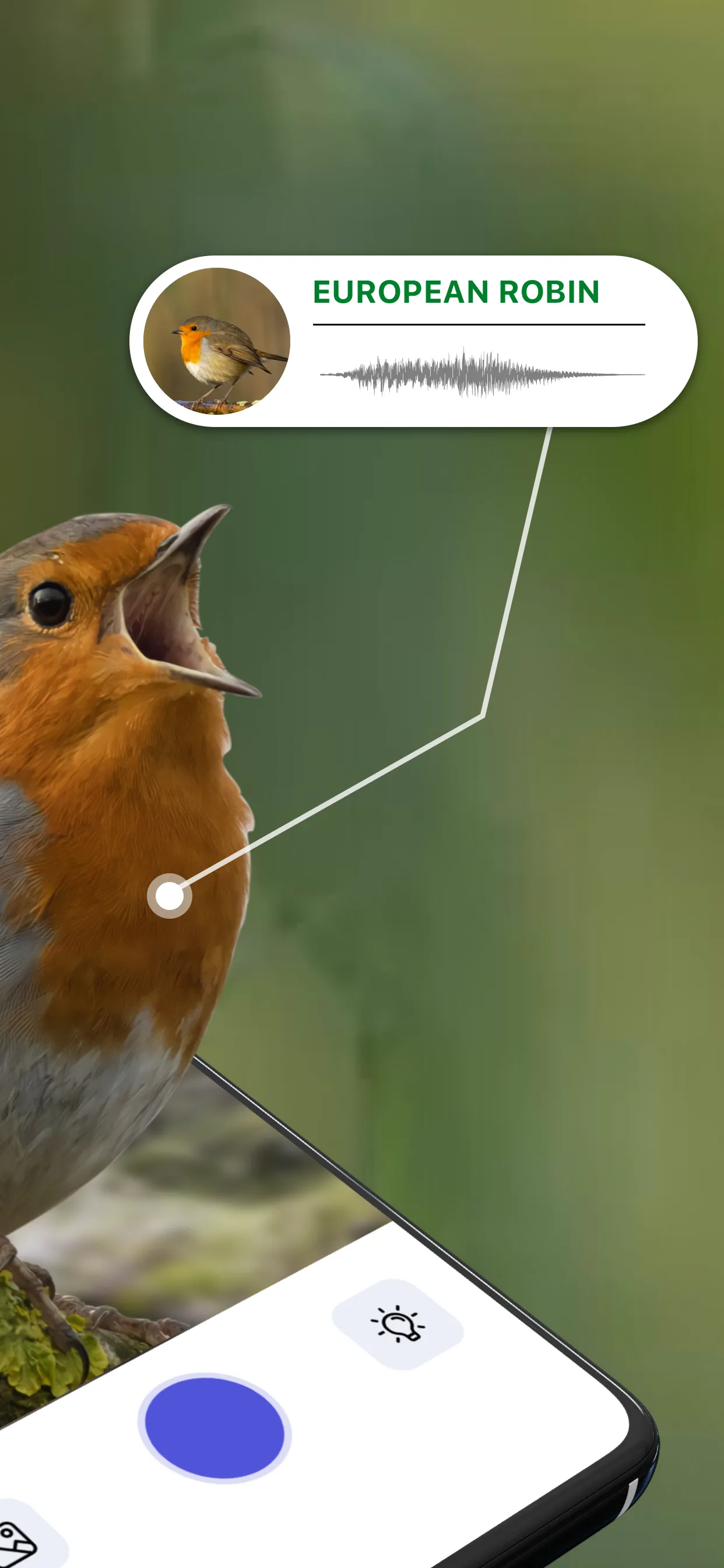 Bird Sound Identifier Bird ID | Indus Appstore | Screenshot