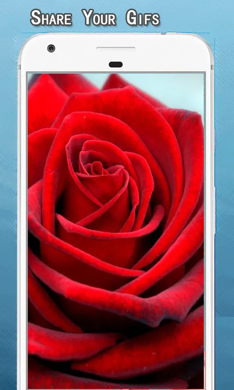 Rose GIF | Indus Appstore | Screenshot