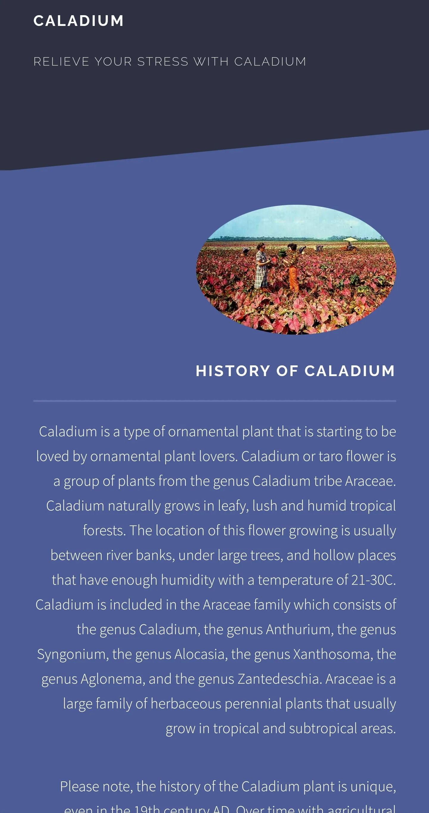 Caladium Ornamental Plant Guid | Indus Appstore | Screenshot