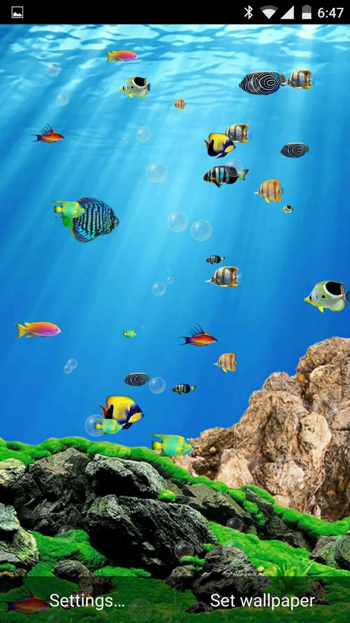 Aquarium Live Wallpaper Touch | Indus Appstore | Screenshot