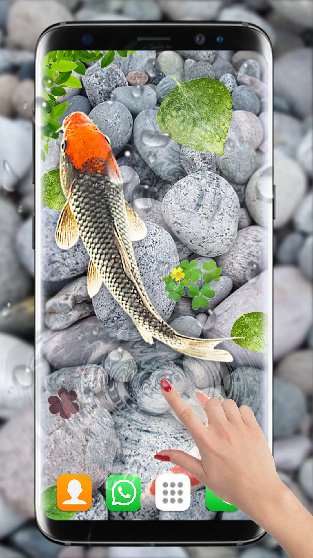 Koi Fish Live Wallpapers HD | Indus Appstore | Screenshot