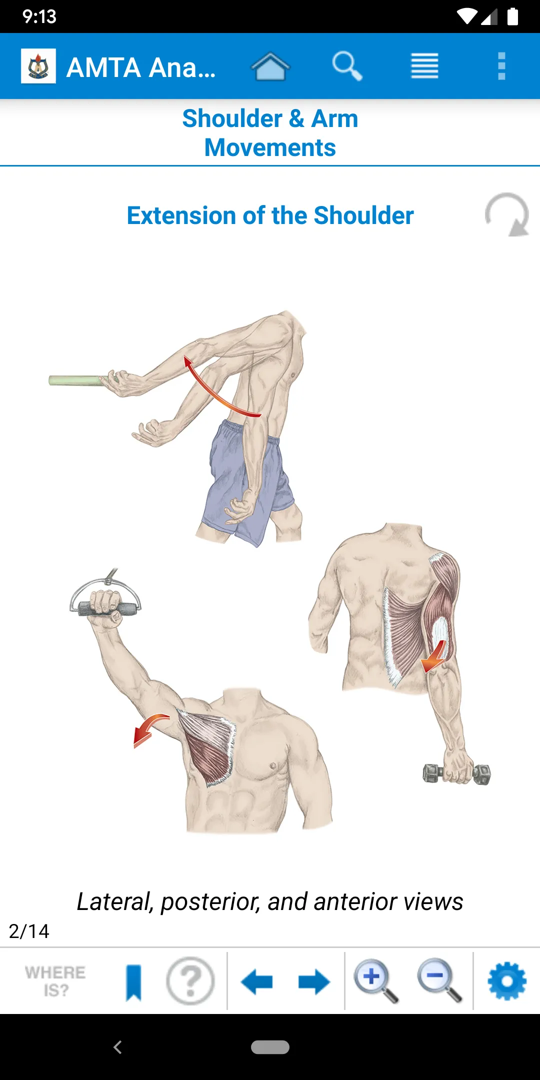 AMTA Anatomy | Indus Appstore | Screenshot