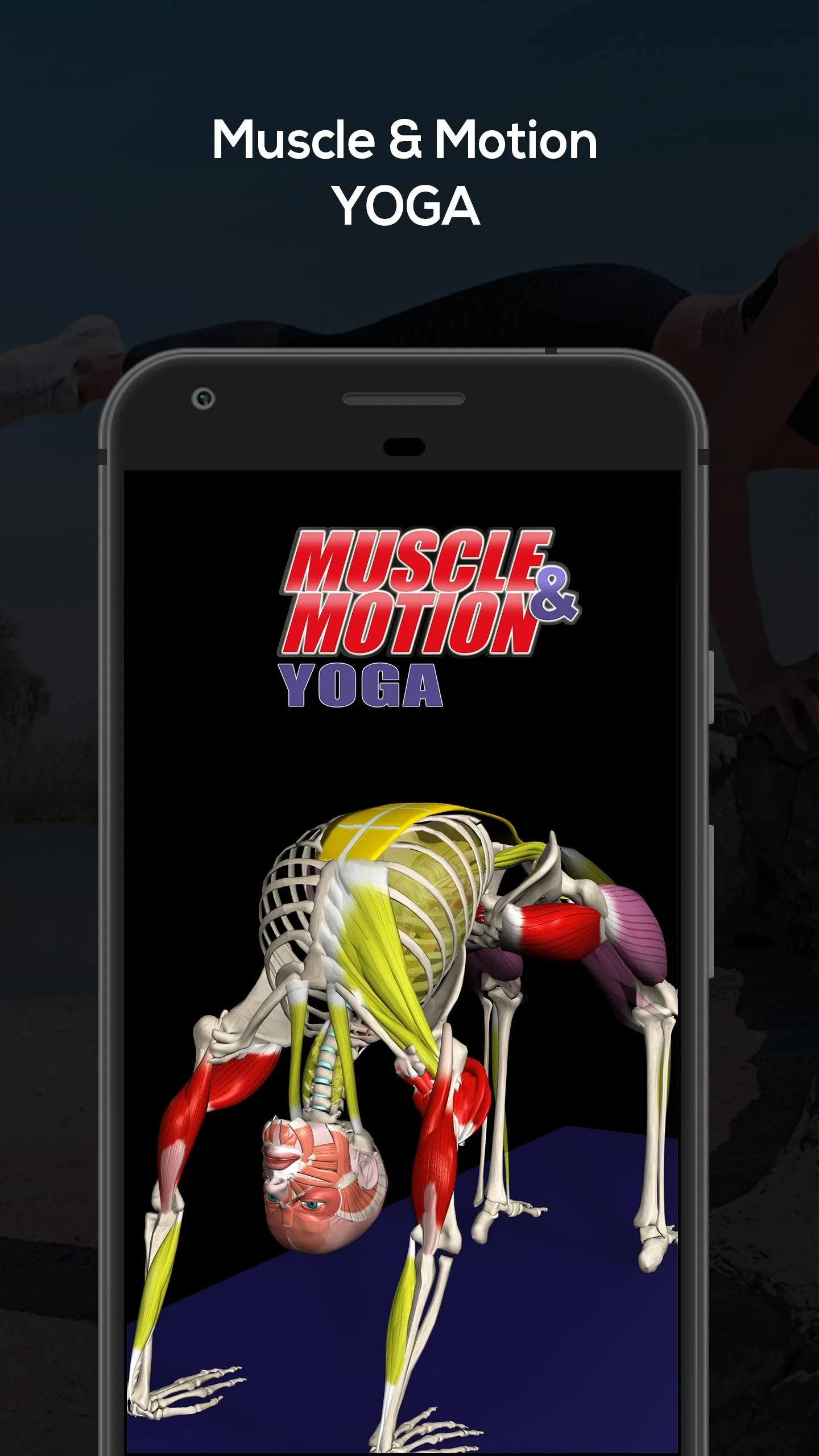 Yoga Anatomy | Indus Appstore | Screenshot