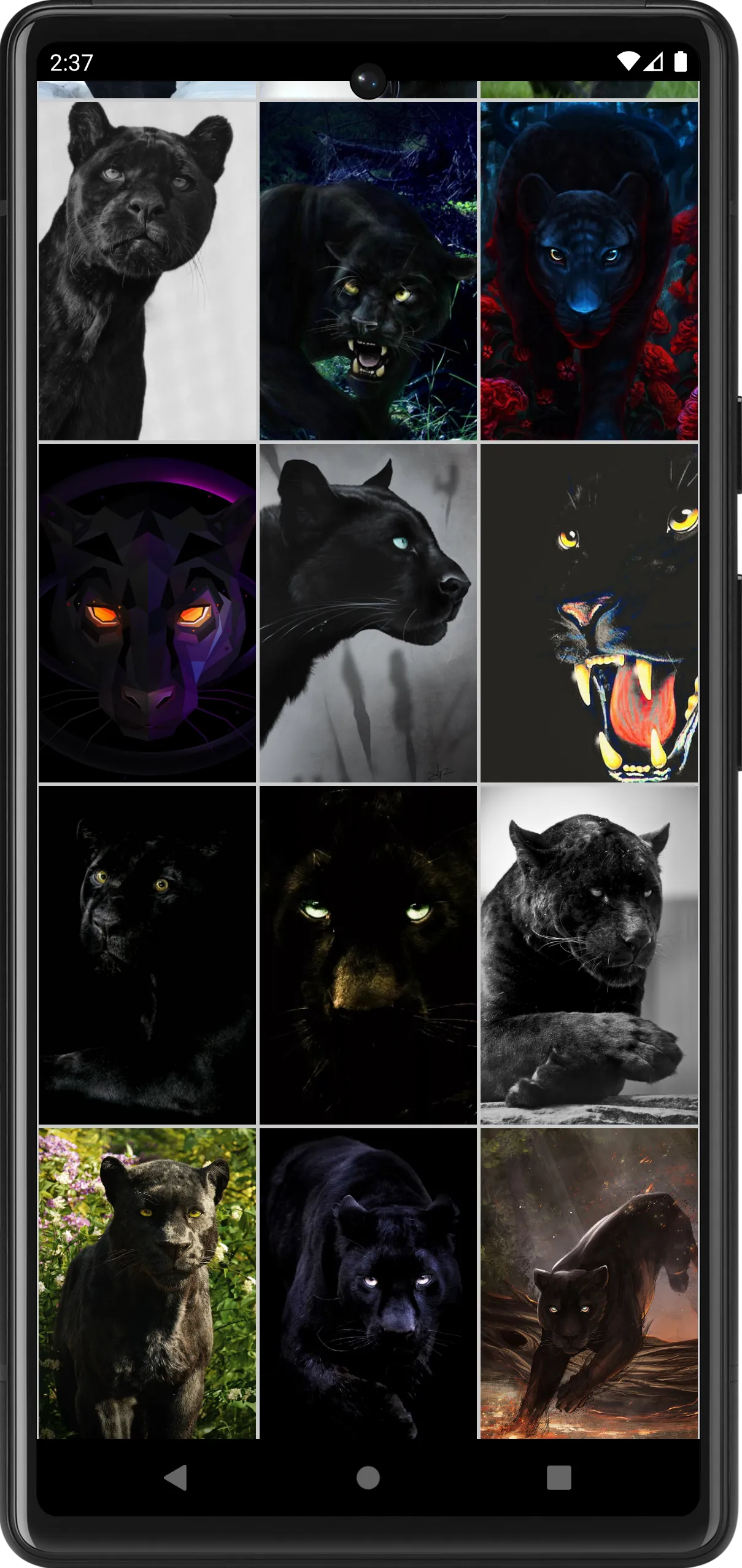 Panther Wallpapers | Indus Appstore | Screenshot