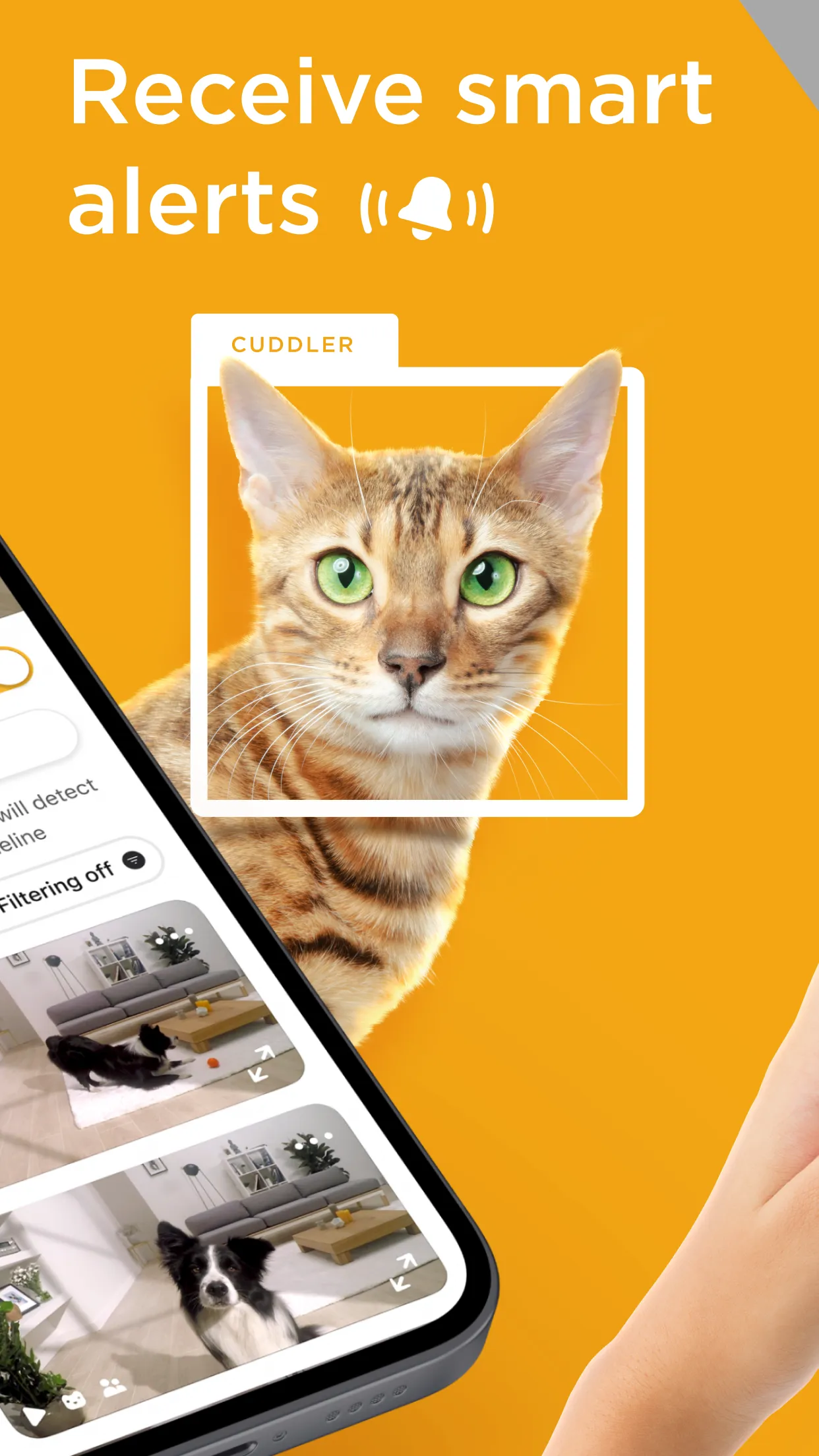 Petcube | Indus Appstore | Screenshot