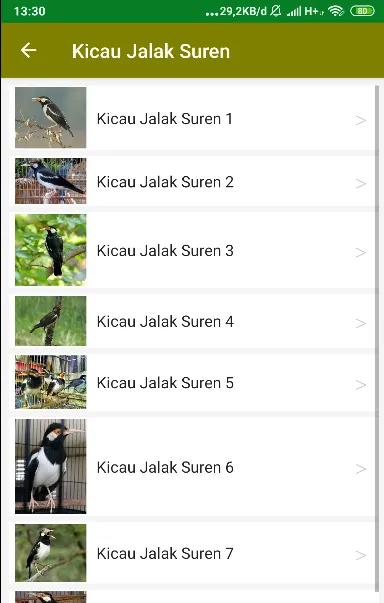 Suara Kicau Jalak Suren Gacor | Indus Appstore | Screenshot