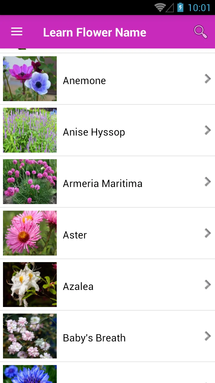 Learn Flower Name | Indus Appstore | Screenshot