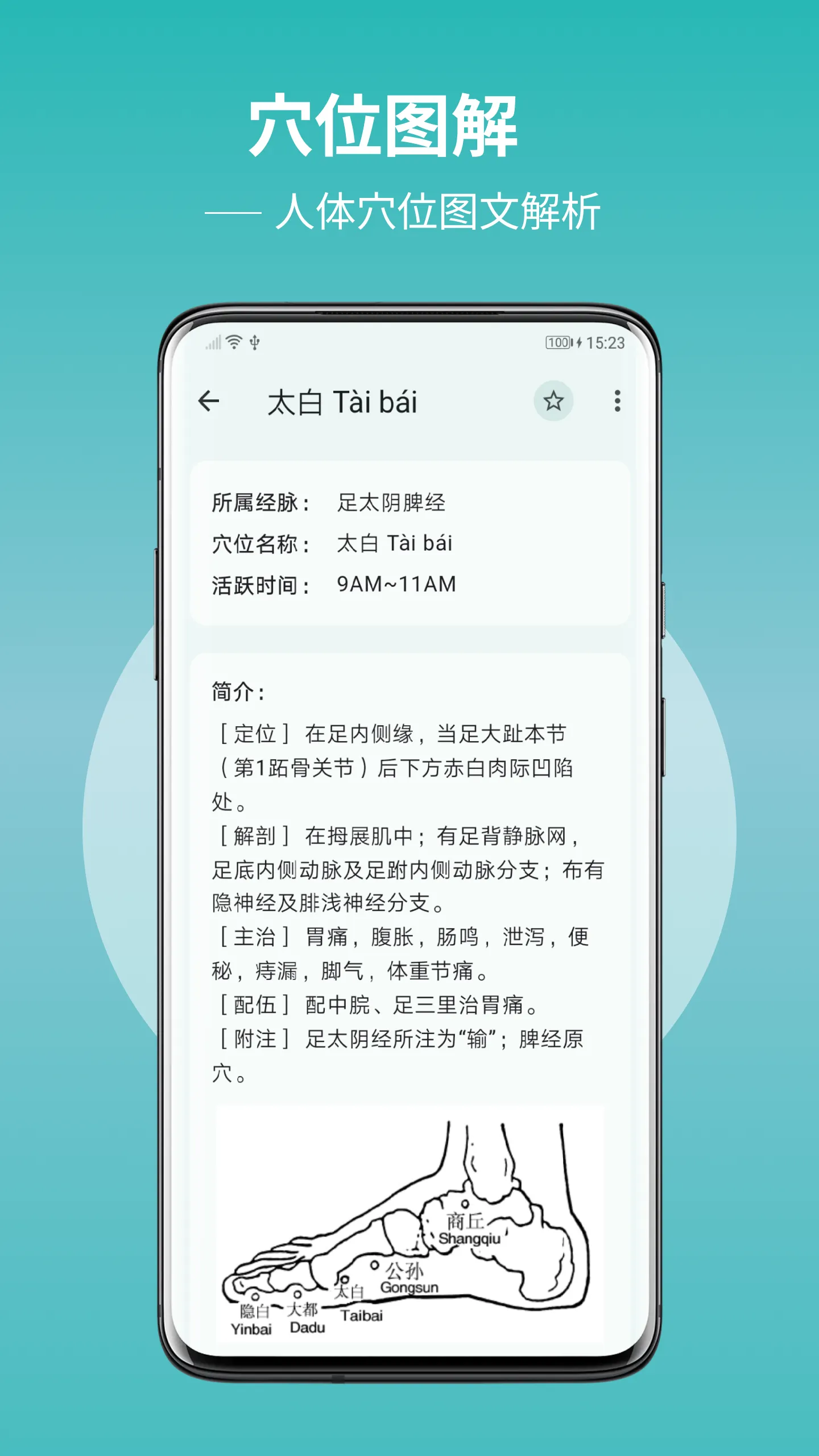 人体穴位图解 | Indus Appstore | Screenshot