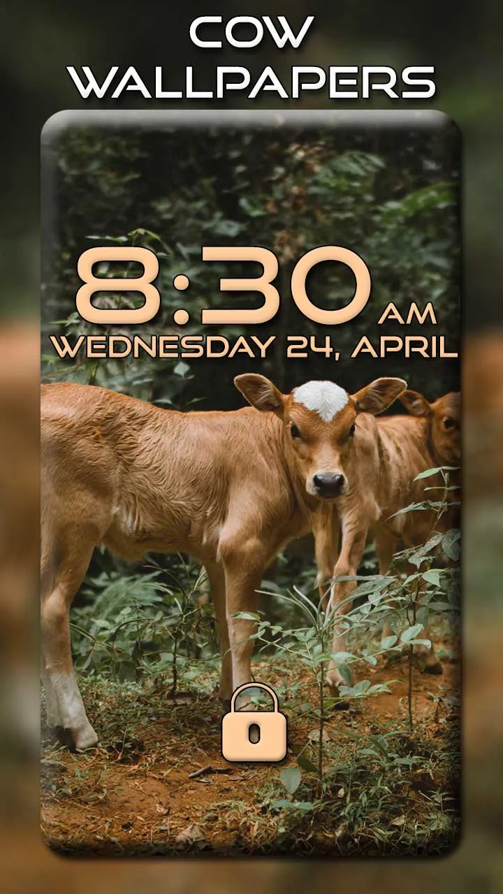 Cow Wallpapers | Indus Appstore | Screenshot