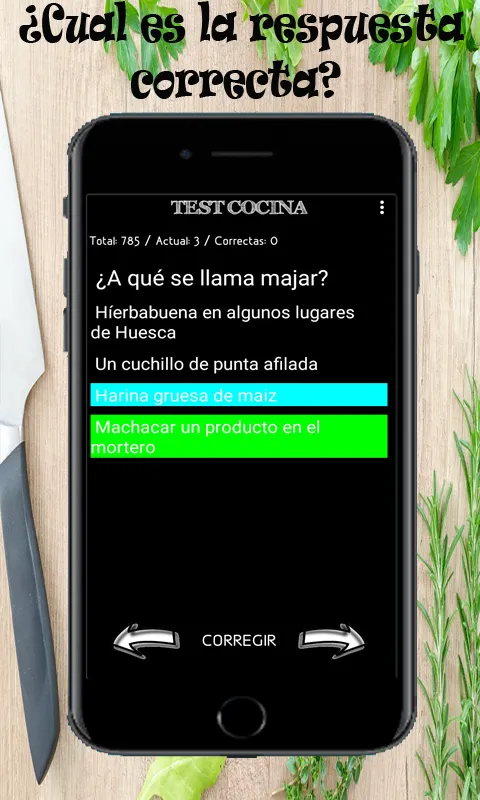 Test  oposicion de Cocina | Indus Appstore | Screenshot