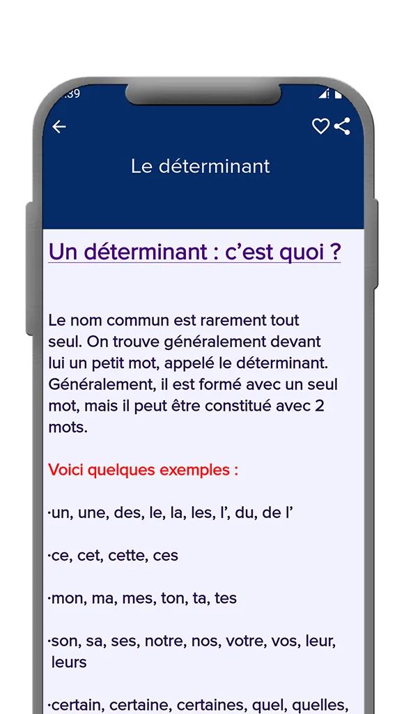 French Grammar | Indus Appstore | Screenshot