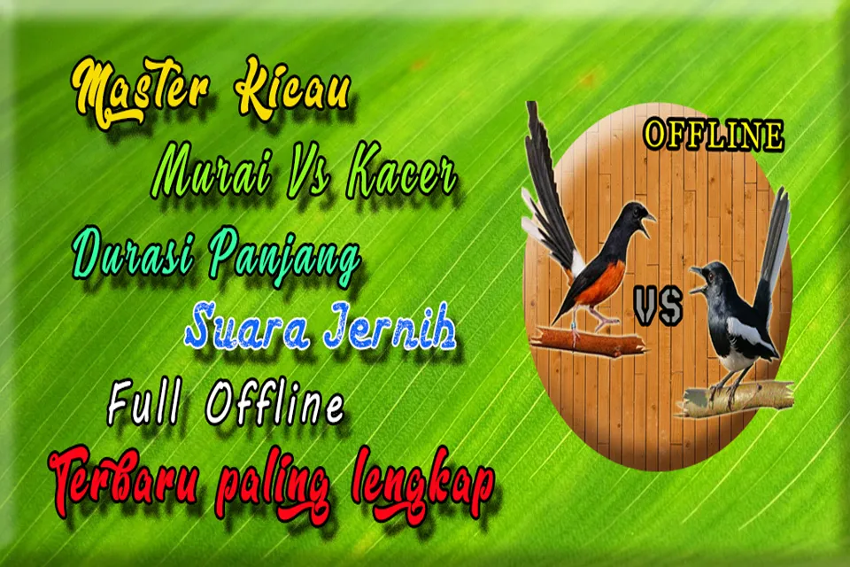 Suara Kacer Dan Murai Batu | Indus Appstore | Screenshot