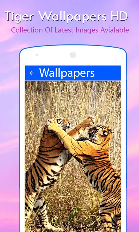 Tiger Wallpapers HD | Indus Appstore | Screenshot