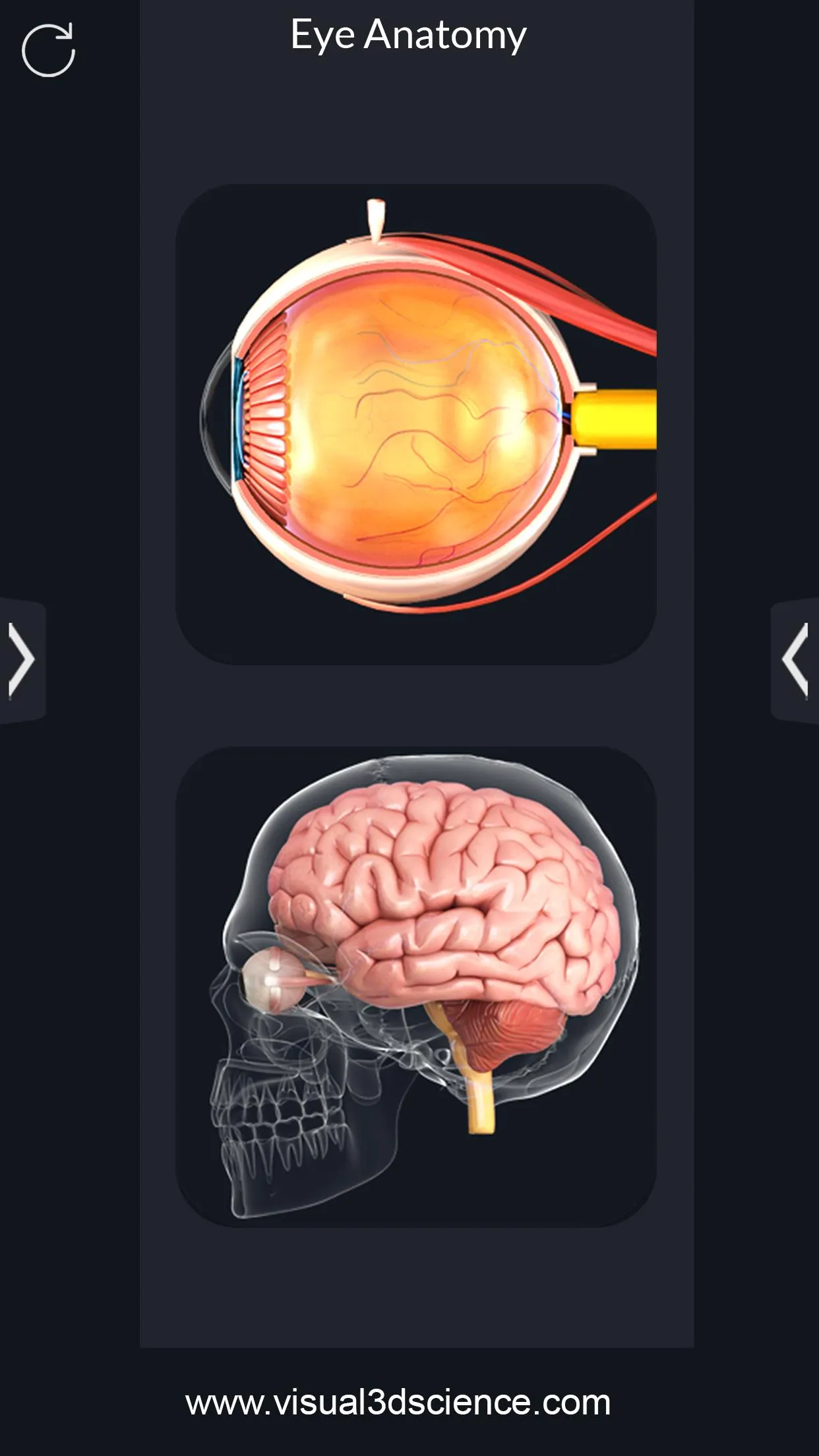 My Eye Anatomy | Indus Appstore | Screenshot