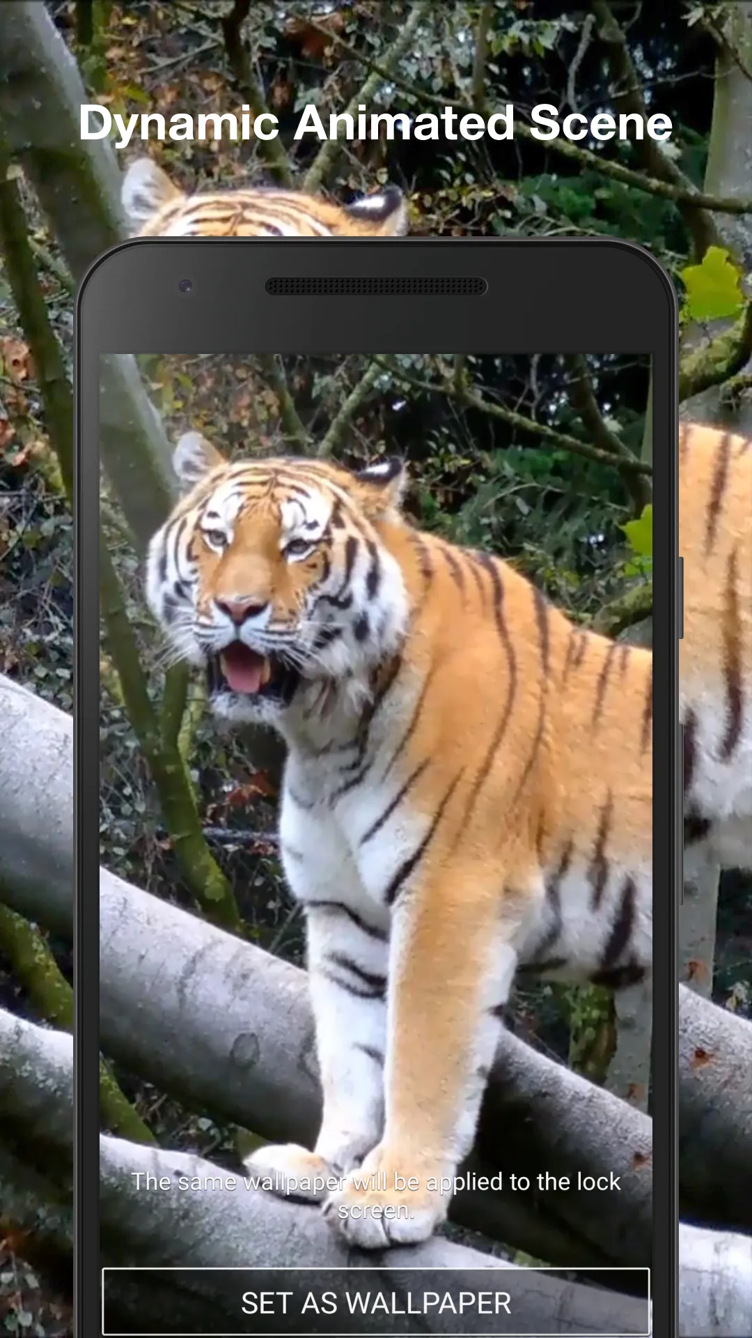 Tiger 3d Live Wallpaper | Indus Appstore | Screenshot