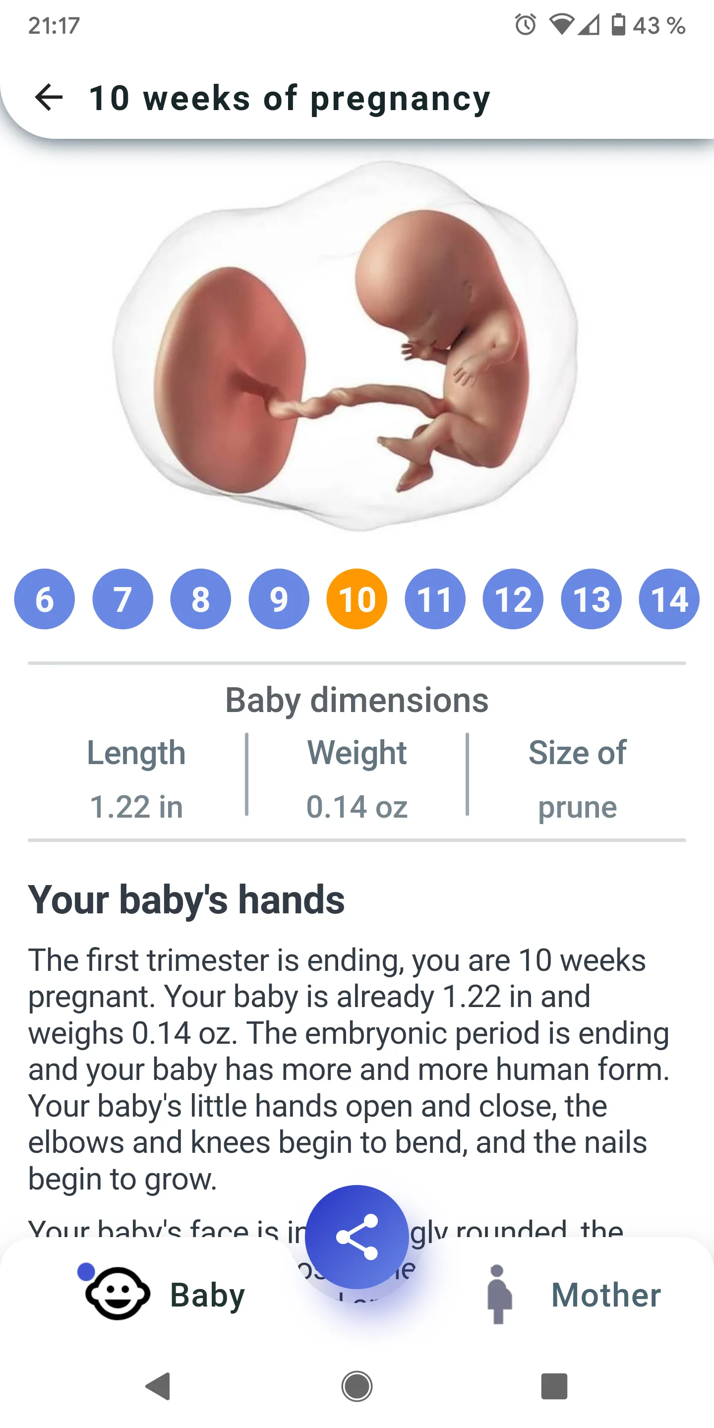 My Pregnancy - Week by Week | Indus Appstore | Screenshot