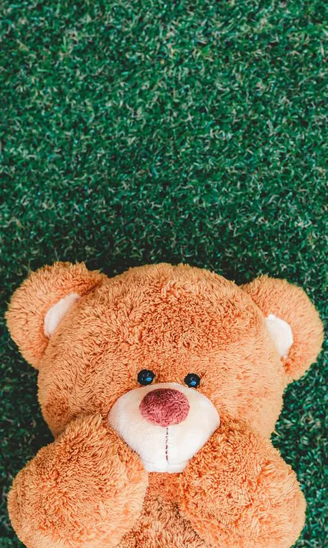 Teddy Bear Wallpaper | Indus Appstore | Screenshot