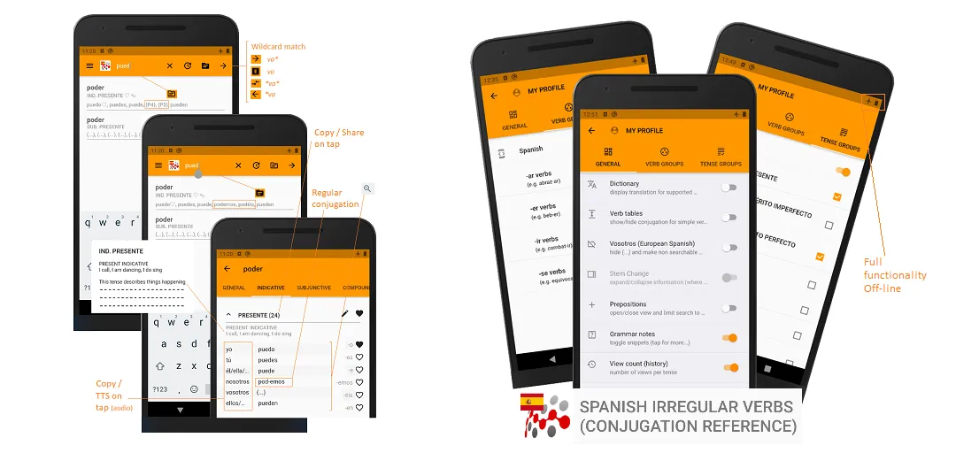 SPANISH VERB CONJUGATION +QUIZ | Indus Appstore | Screenshot