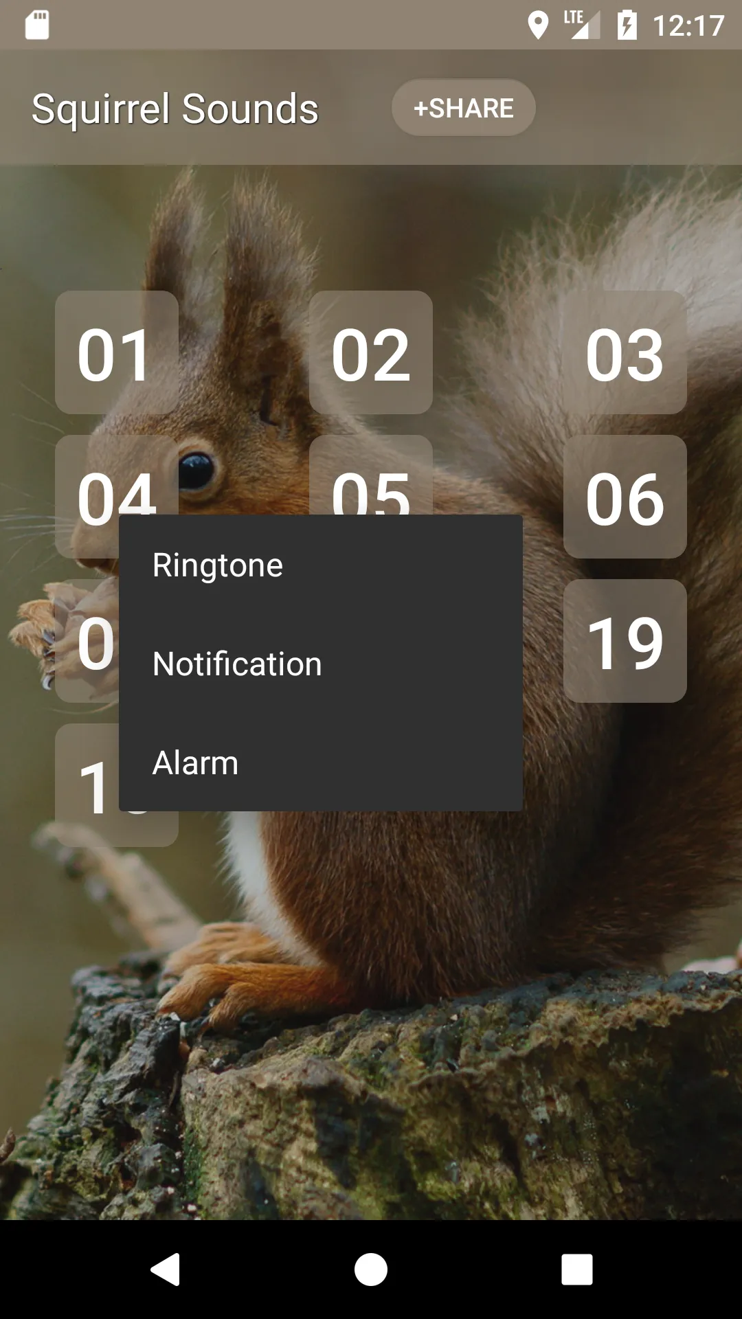 Squirrel Sounds | Indus Appstore | Screenshot