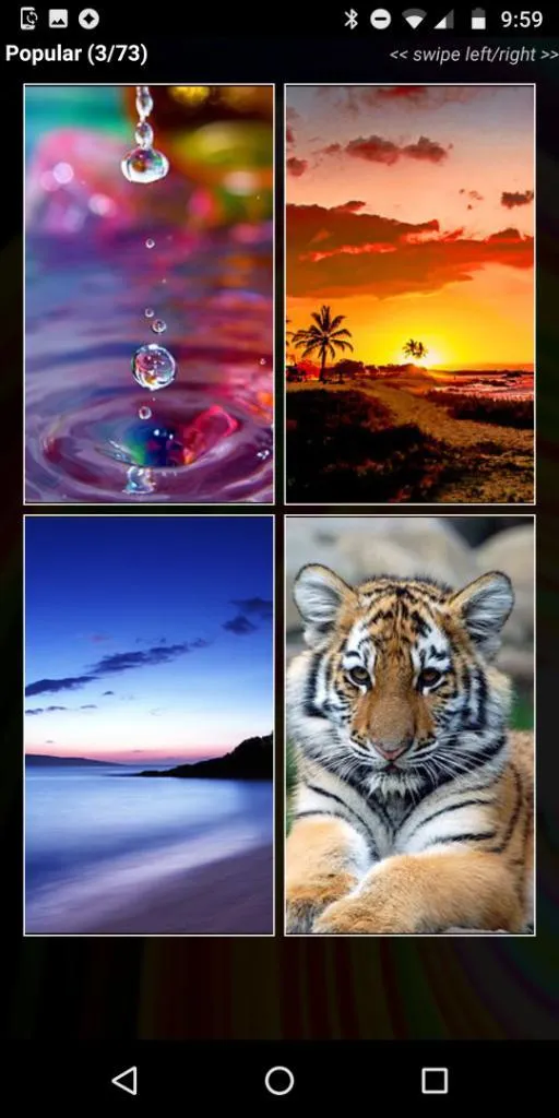 Wallpapers HD+ Fast 4K Screens | Indus Appstore | Screenshot