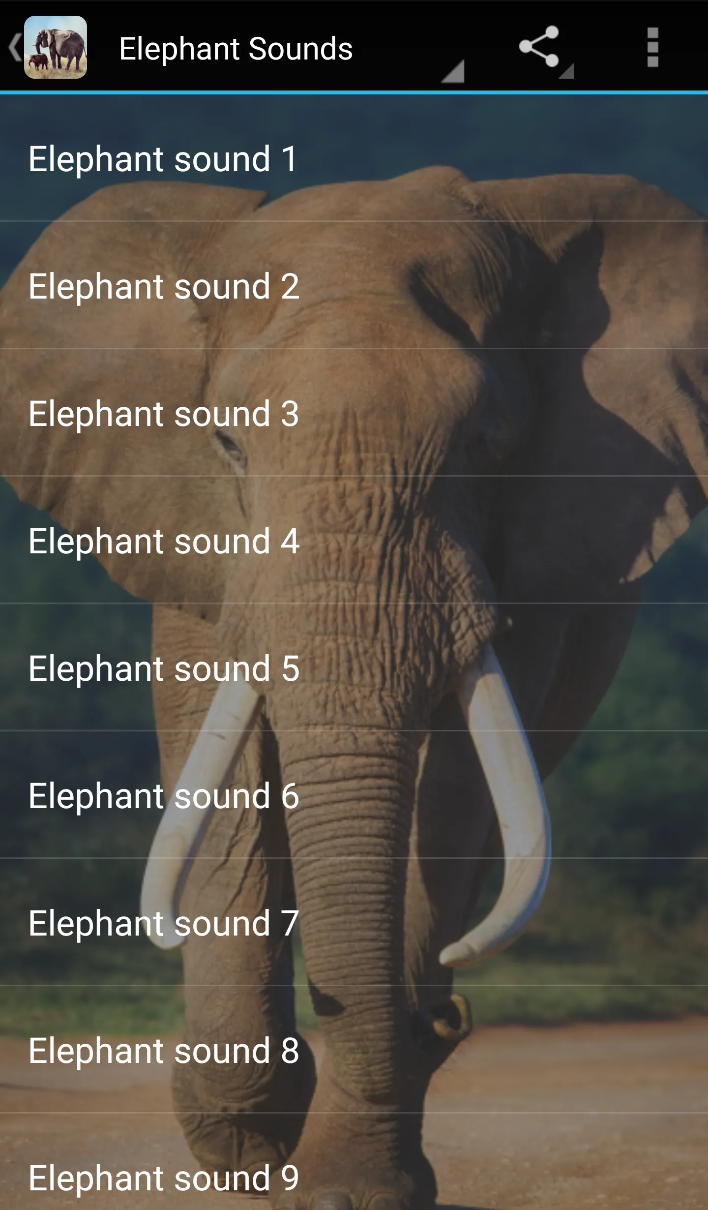 Elephant Sounds | Indus Appstore | Screenshot