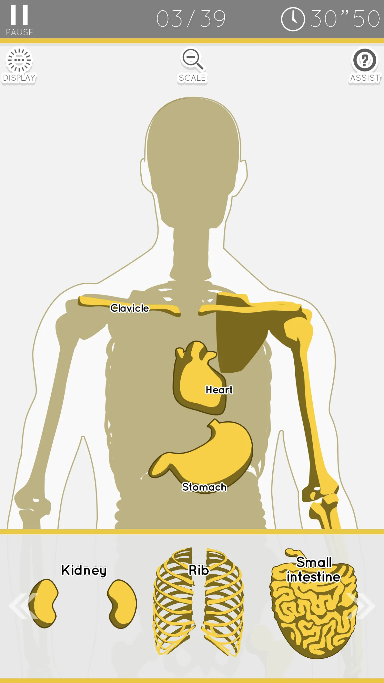 E. Learning Anatomy puzzle | Indus Appstore | Screenshot