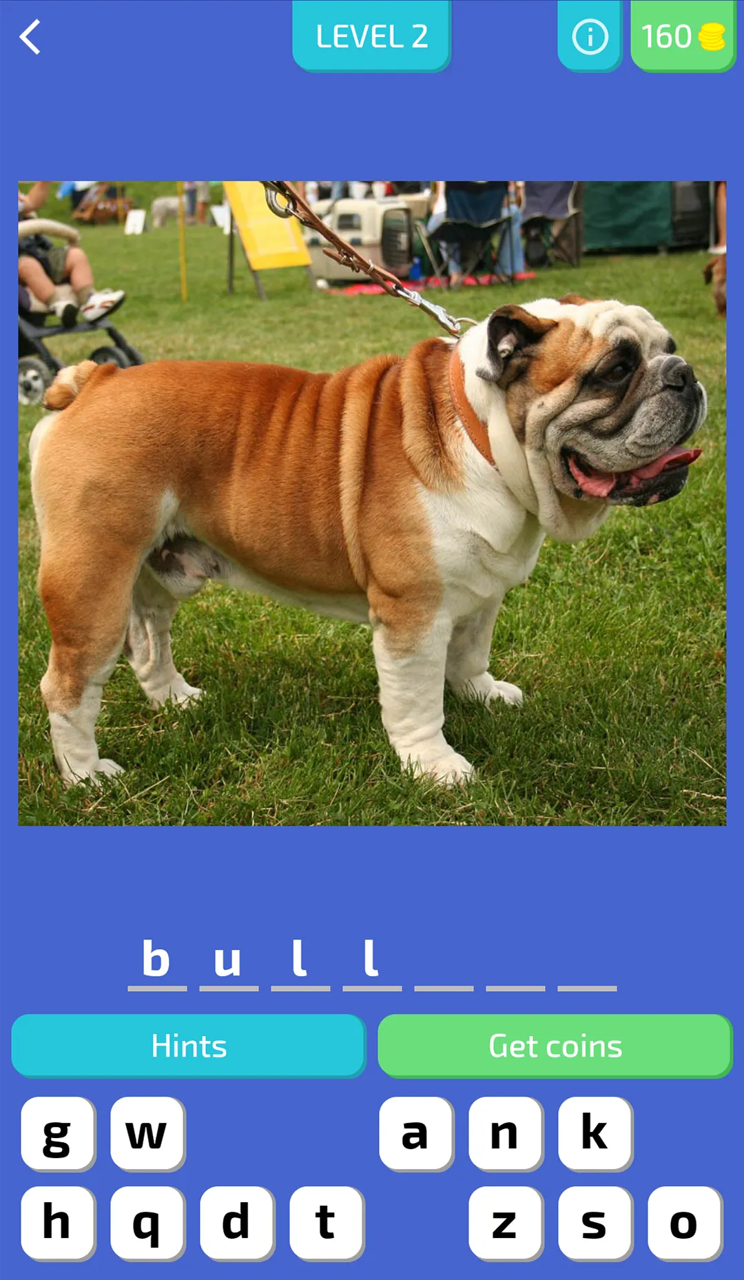 Dog Quiz - Guess the Breed! | Indus Appstore | Screenshot