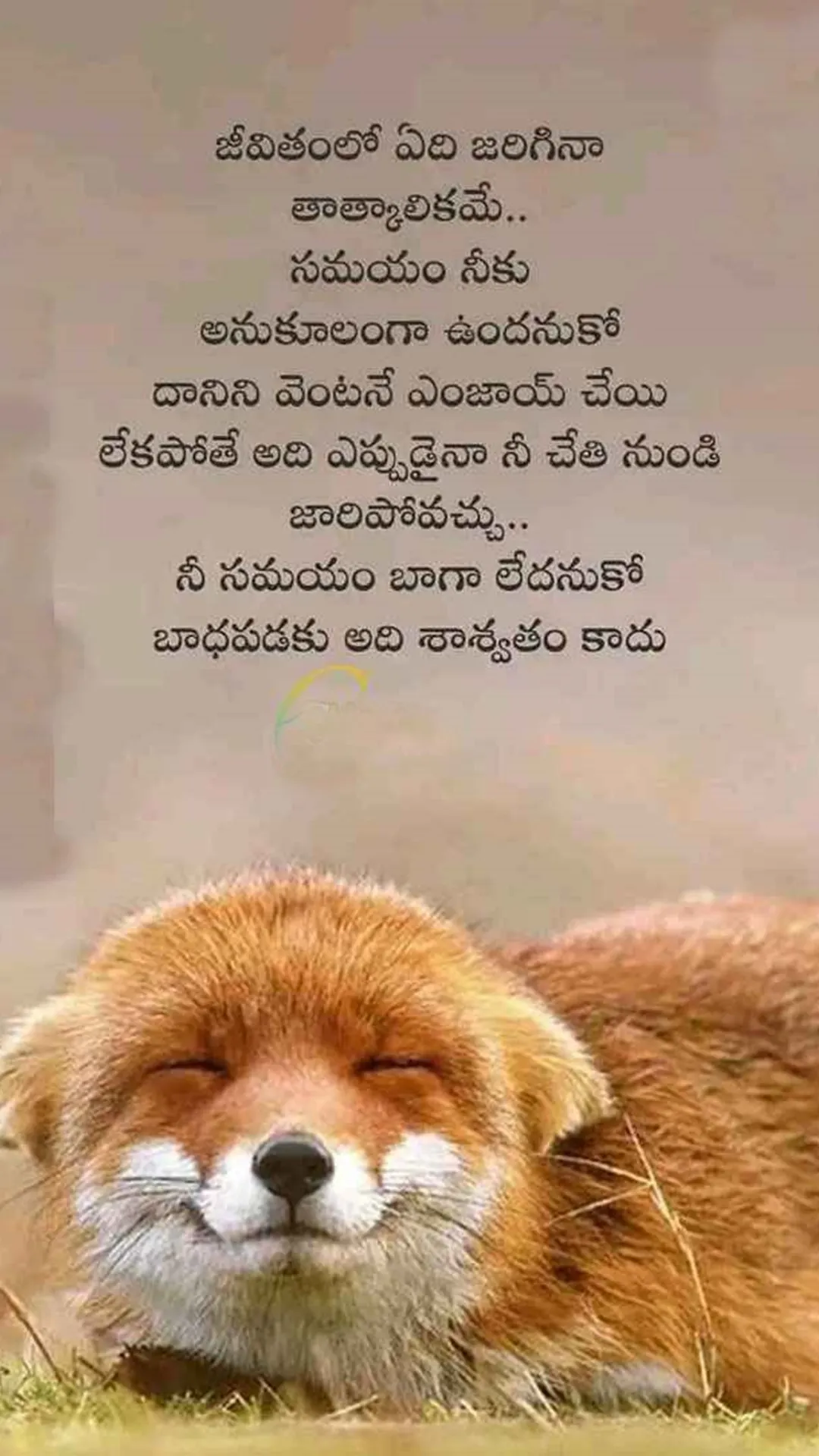 Inspirational Quotes In Telugu | Indus Appstore | Screenshot