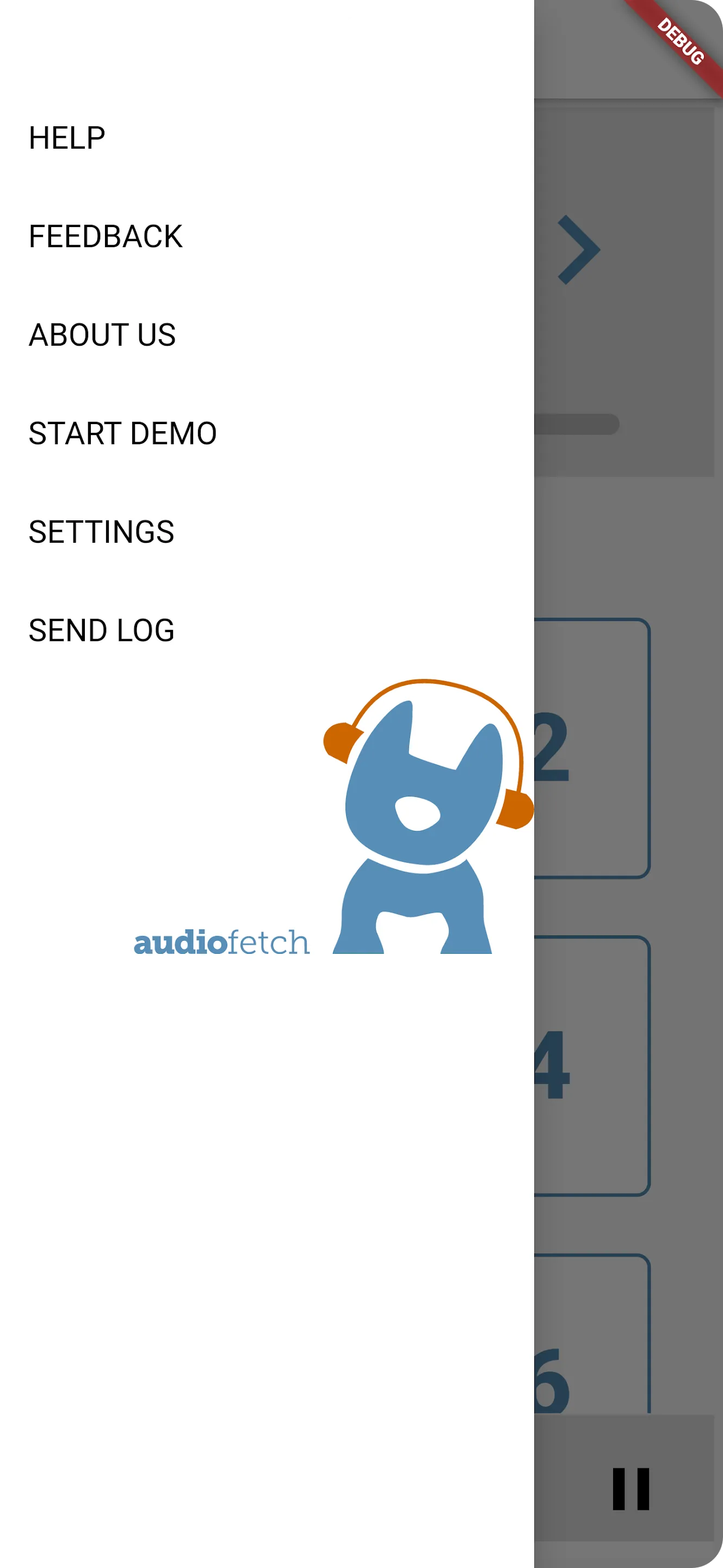 AudioFetch | Indus Appstore | Screenshot