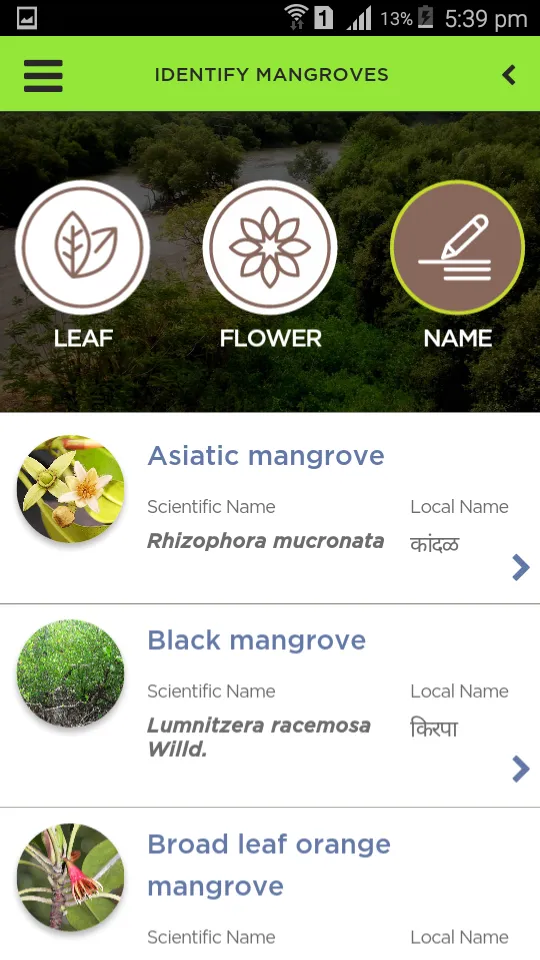 Mangroves | Indus Appstore | Screenshot