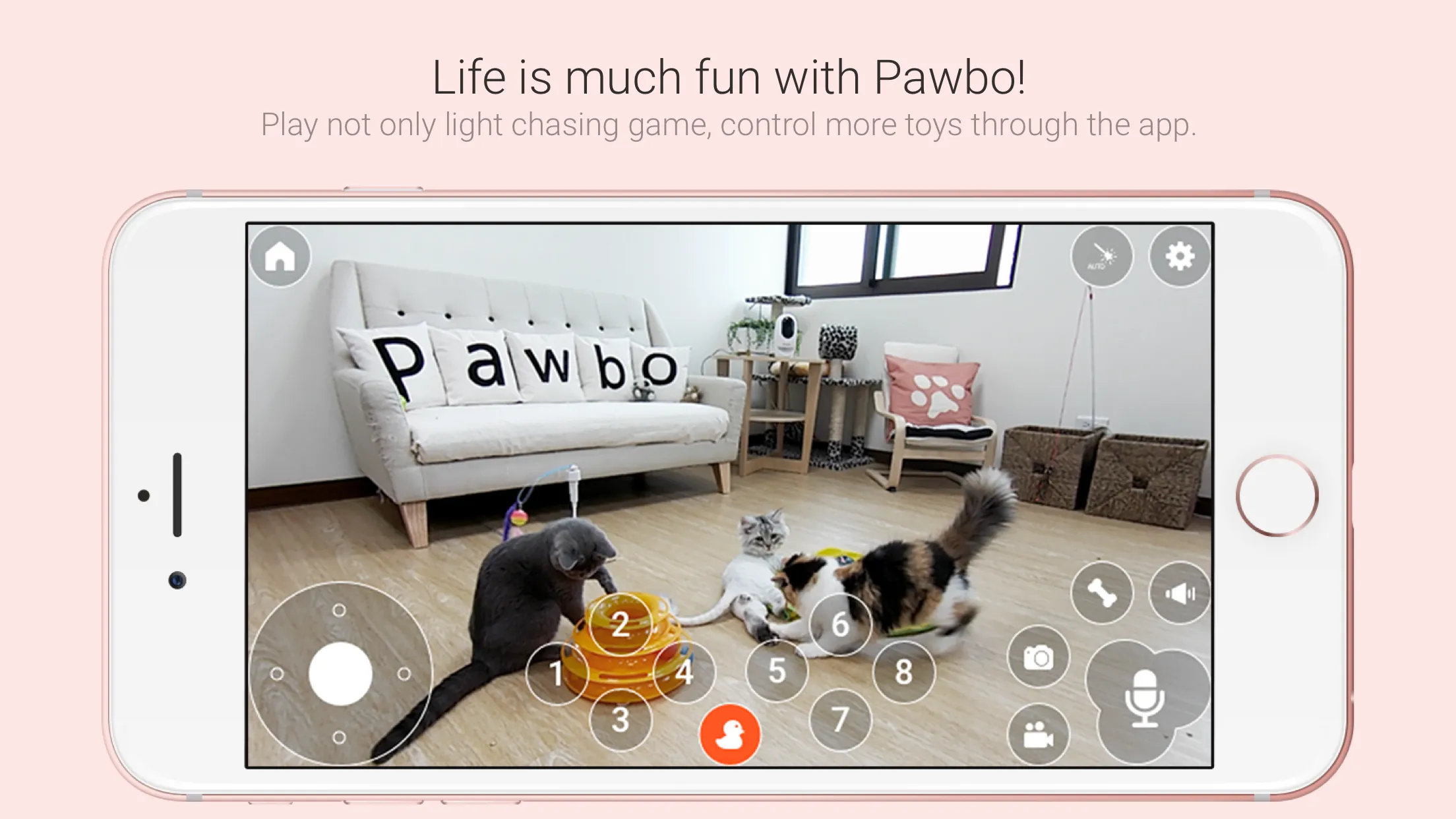 Pawbo Life | Indus Appstore | Screenshot