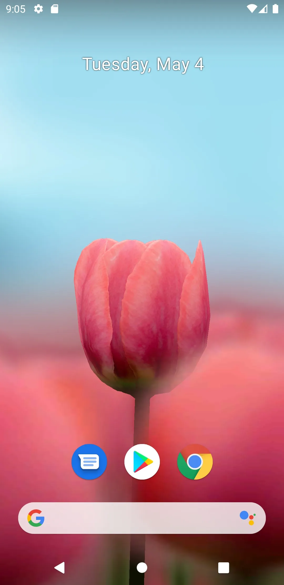 3D Tulip Live Wallpaper | Indus Appstore | Screenshot