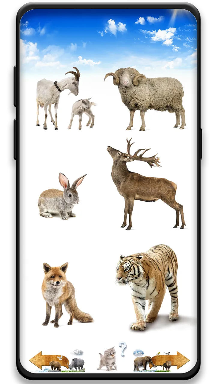 Animal Sounds | Indus Appstore | Screenshot