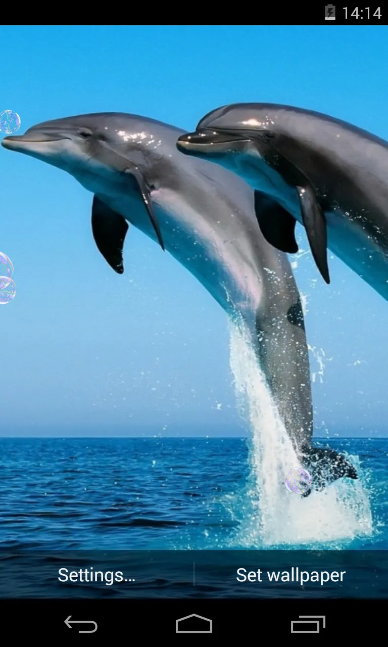 Dolphins Live Wallpaper | Indus Appstore | Screenshot