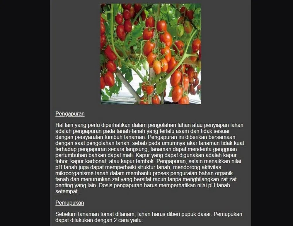 Detailed tomato cultivation | Indus Appstore | Screenshot