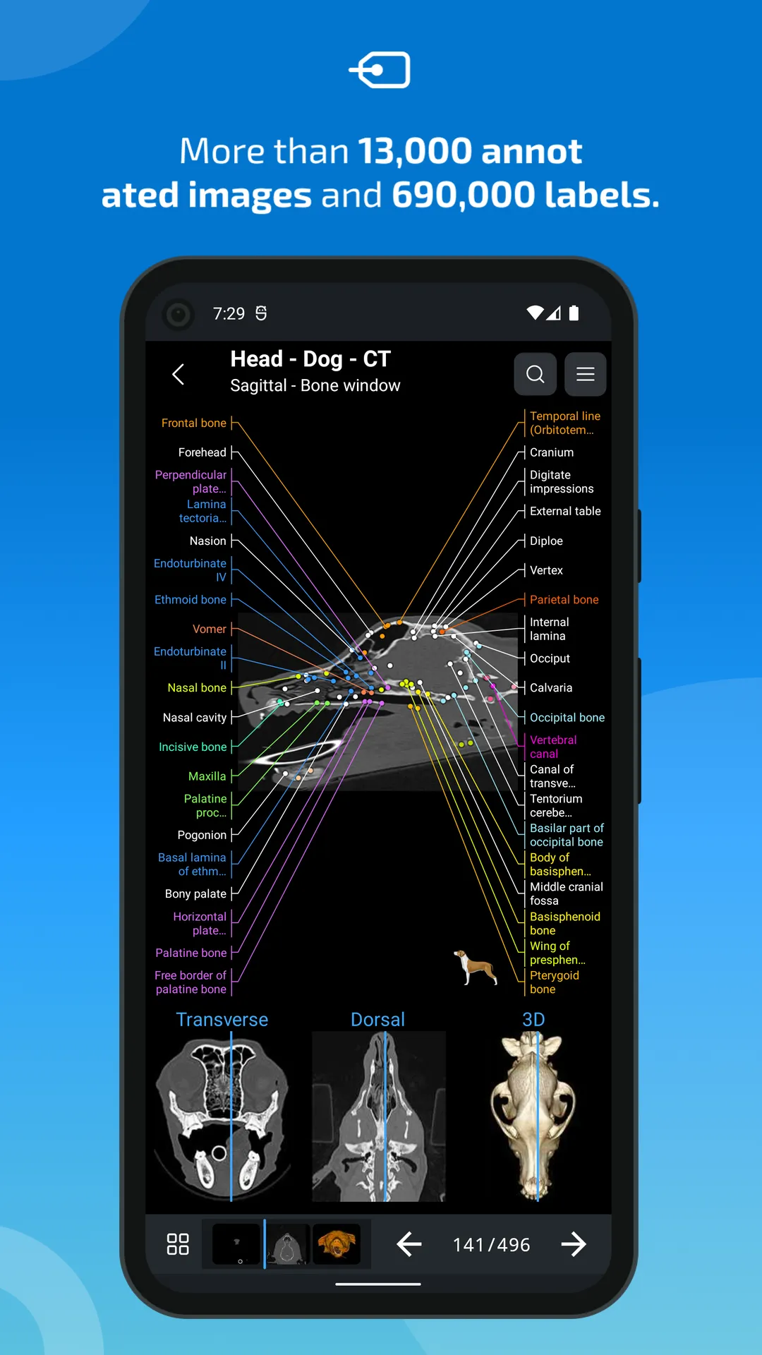 vet-Anatomy | Indus Appstore | Screenshot