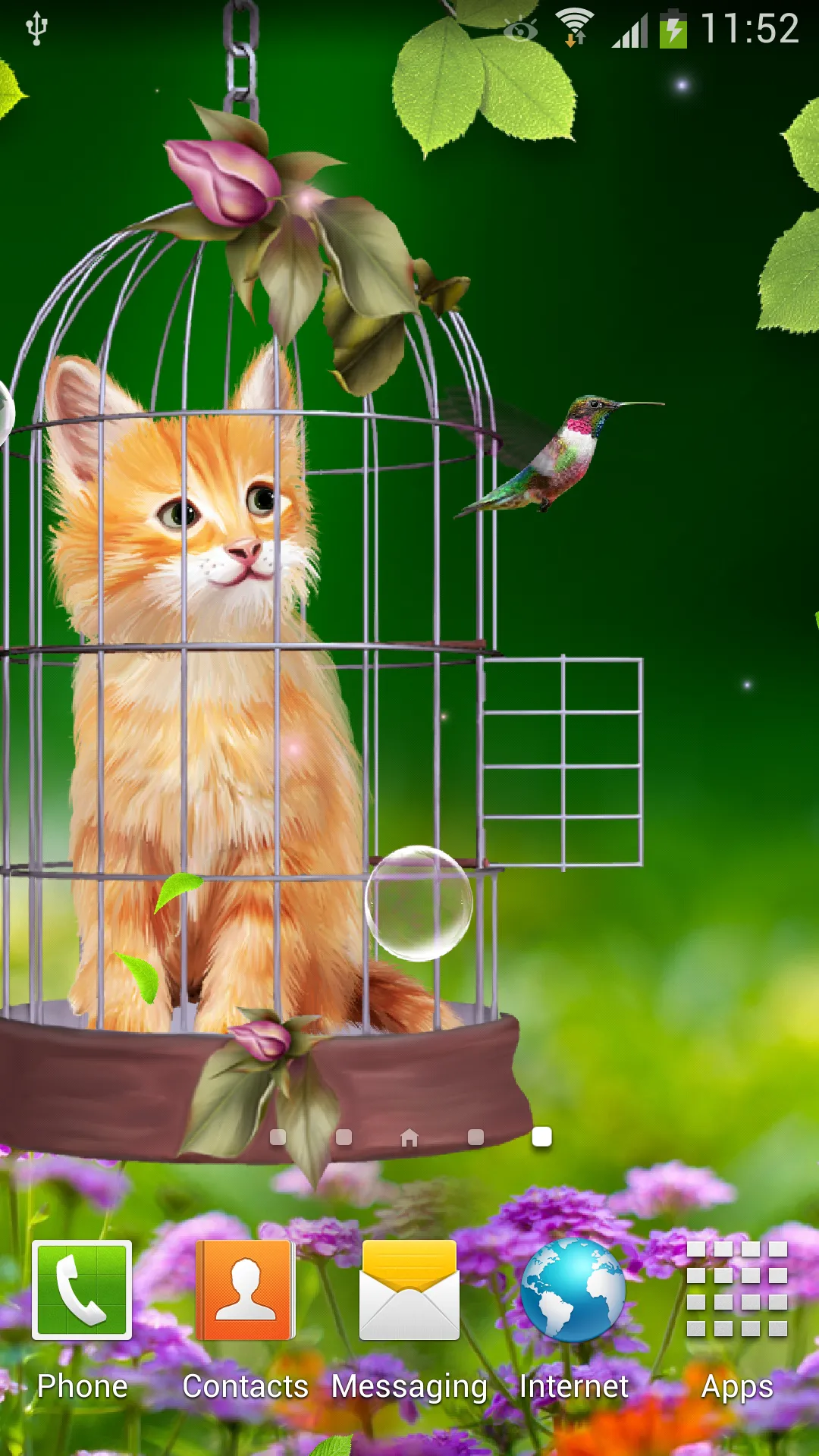 Cat and Hummingbirds Wallpaper | Indus Appstore | Screenshot