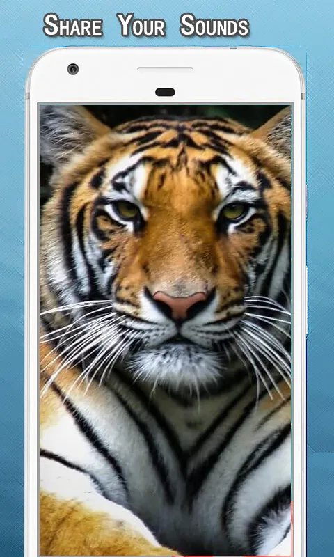 Tiger Sounds Ringtone | Indus Appstore | Screenshot