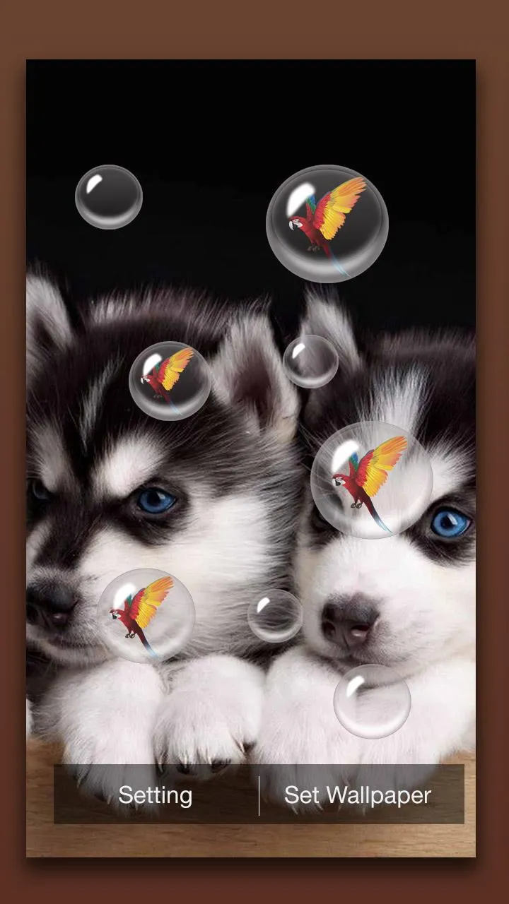 Puppy Live Wallpaper | Indus Appstore | Screenshot