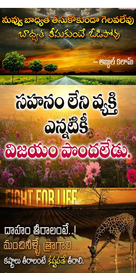 10000+ Telugu Motivational Ins | Indus Appstore | Screenshot